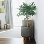 Apartmento Elegante Apartmán