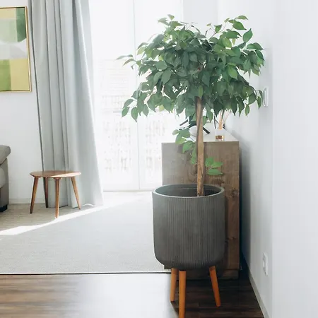 Apartmento Elegante Apartamento