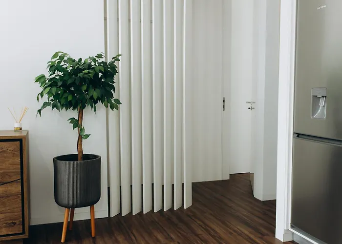 アパート Apartmento Elegante フィゲイラ・ダ・フォズ