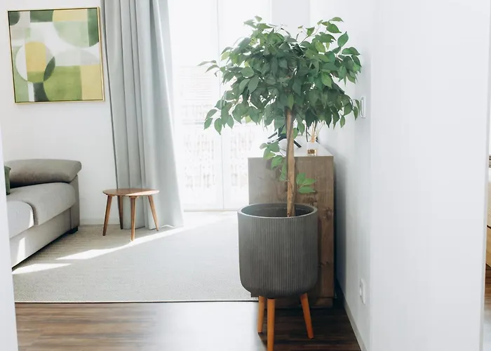 Apartmento Elegante アパート